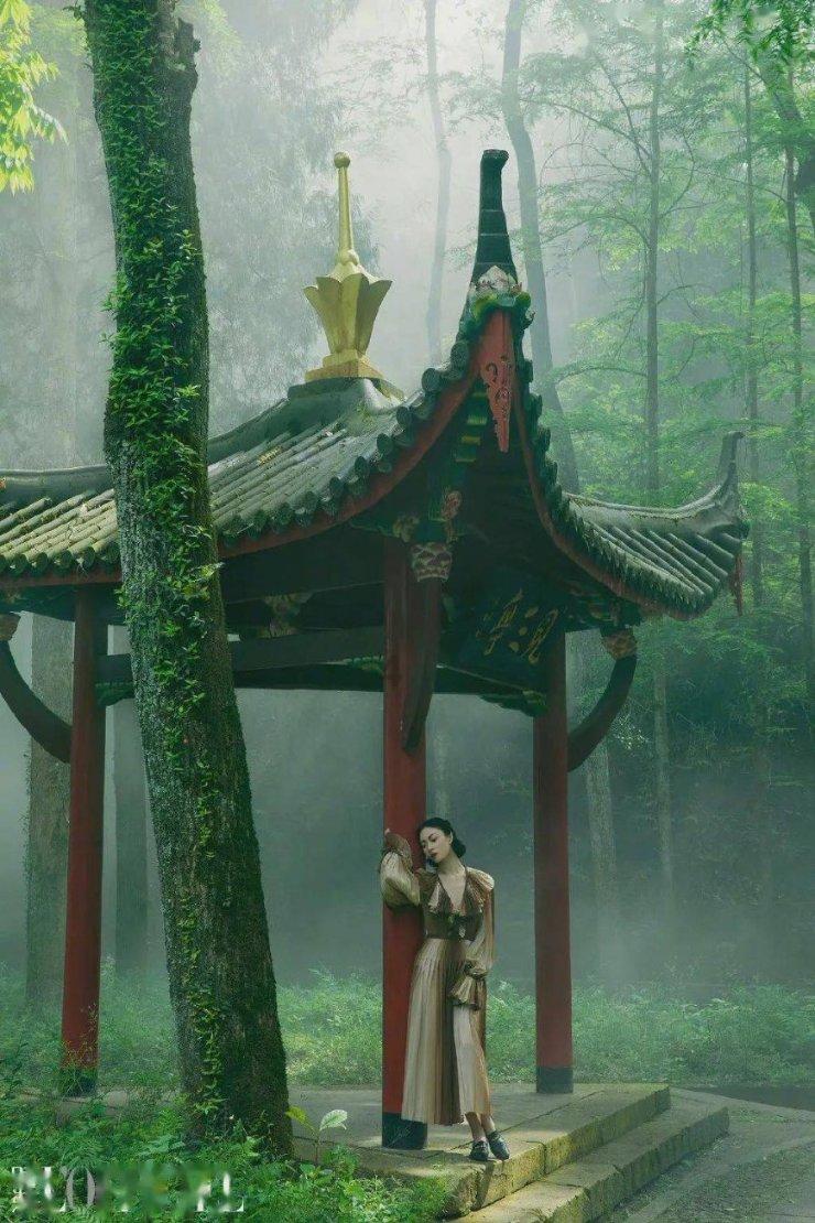 诱捕小浣熊