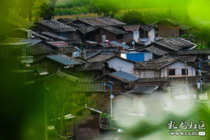 救援可爱小学生