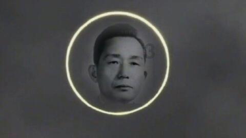 细胞分裂4