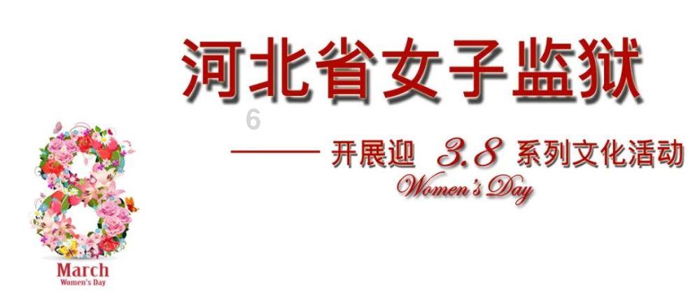 救援呆萌的猫