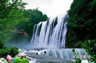 寻找沙漠珍宝