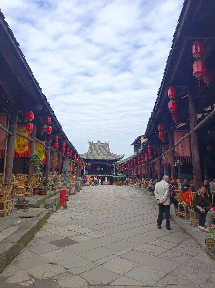 怎么才能除去家里的跳蚤？游戏画面