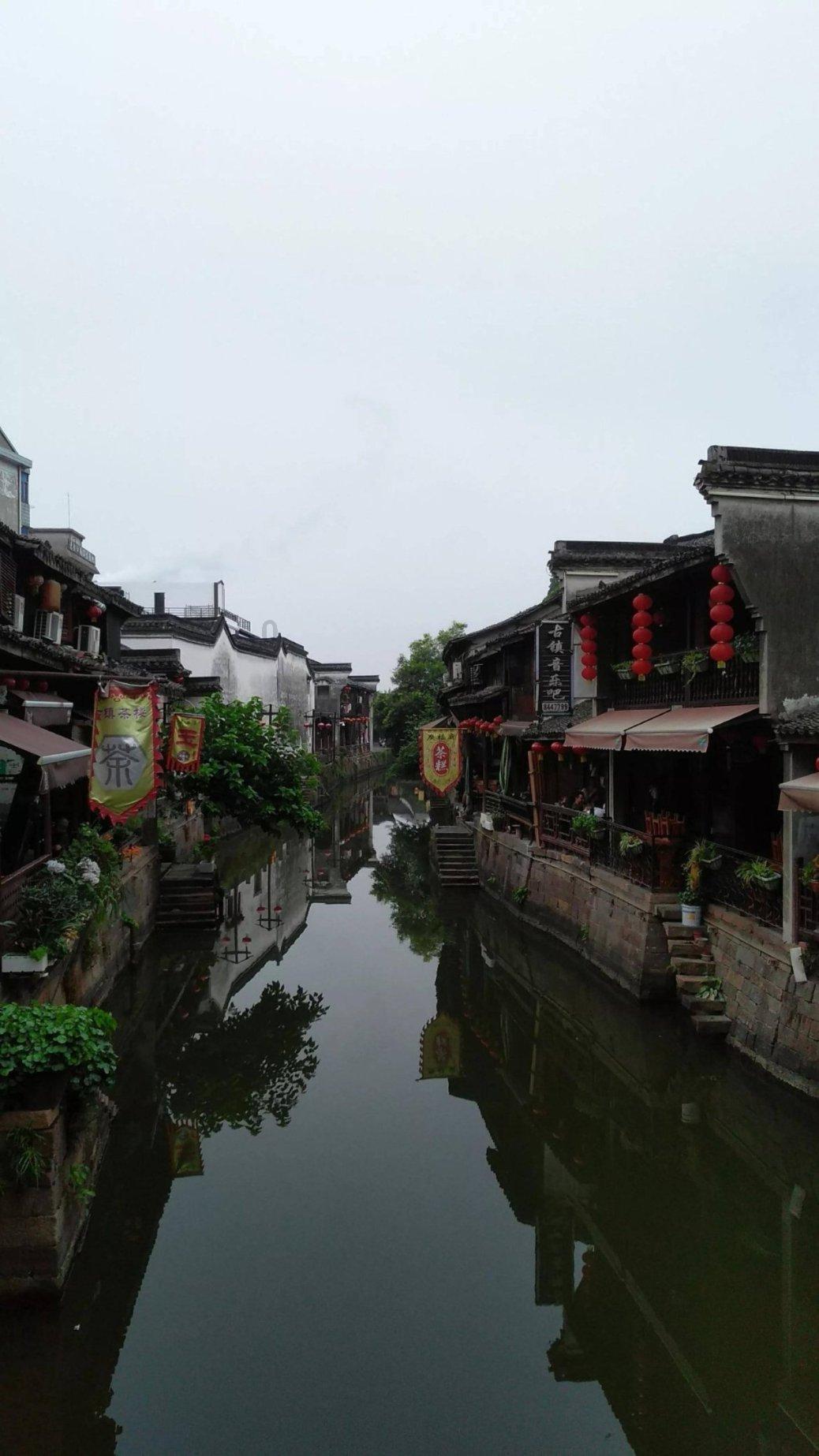 怎么才能除去家里的跳蚤？游戏画面