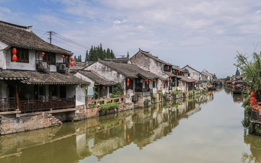 杜宾拼死拽着金毛,就怕它去招惹别的狗,网友:一看就是情敌啊!